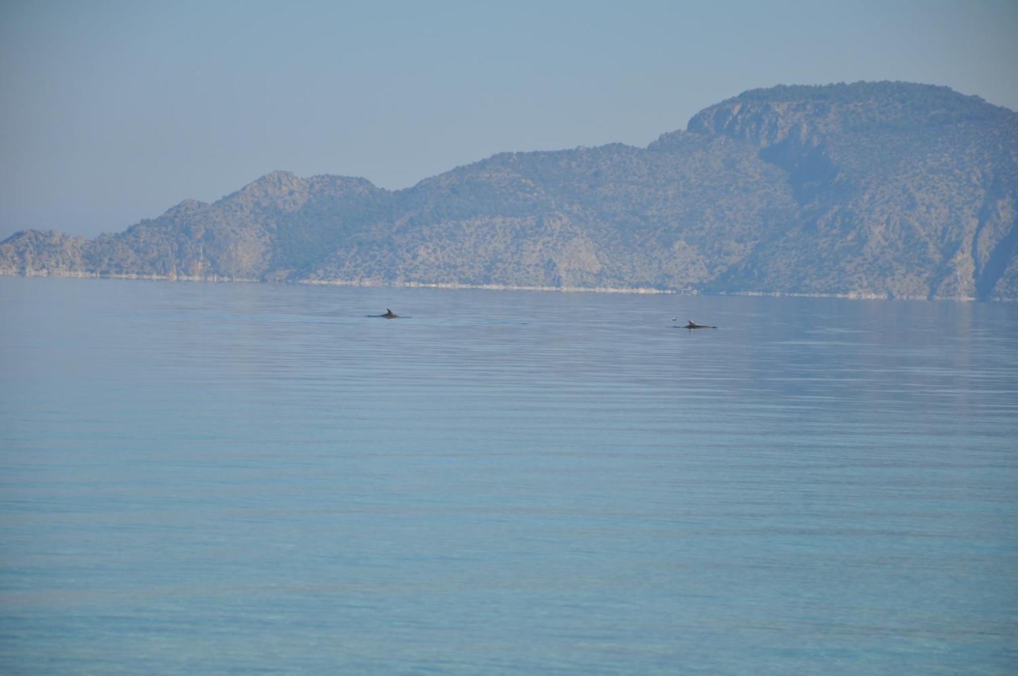 Villa In Kalloni Direkt Am Meer, Tolle Aussicht מראה חיצוני תמונה